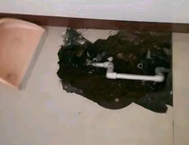 亳州卫生间测漏水多少钱